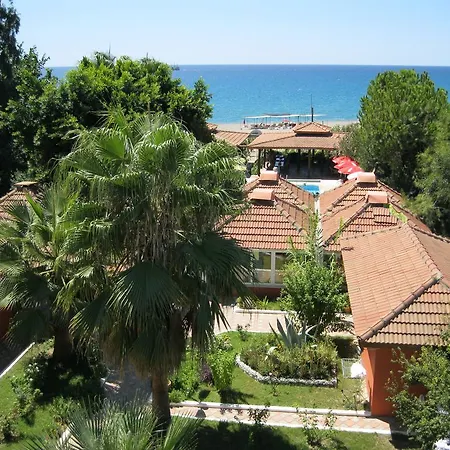 As Queen 3* Kızılot