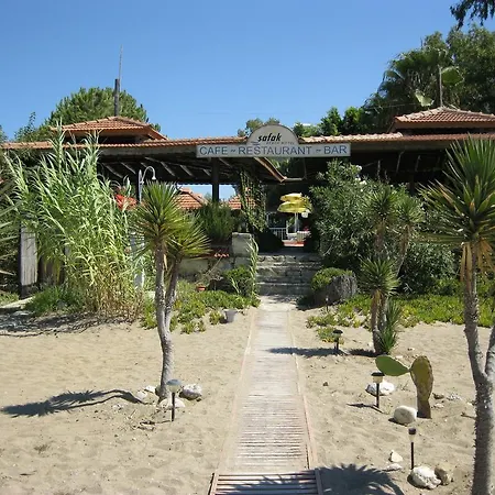 As Queen 3* Kızılot