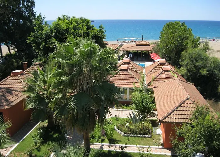 As Queen 3* Kızılot